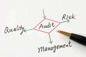 Recovery Audit Contractor (RAC) and MAC: Failure and Success in 2012