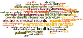 Electronic Medical Charting Systems