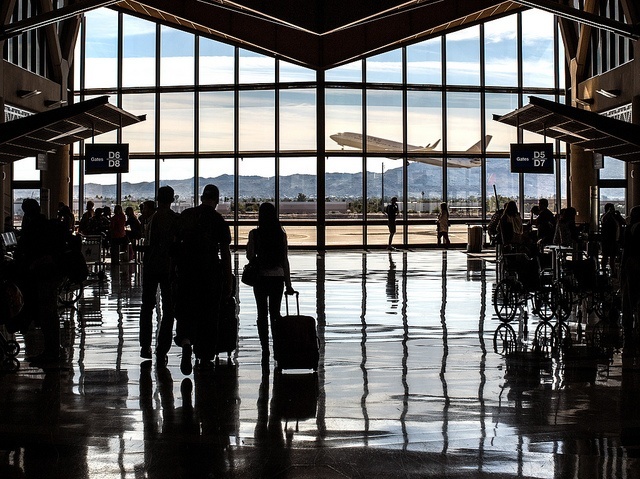 Air Travel Healthcare