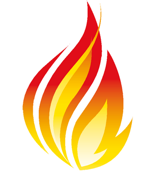 FHIR API FHIR App