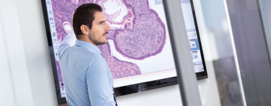 Philips Acquires Northern Irish Digital Pathology Startup PathXL