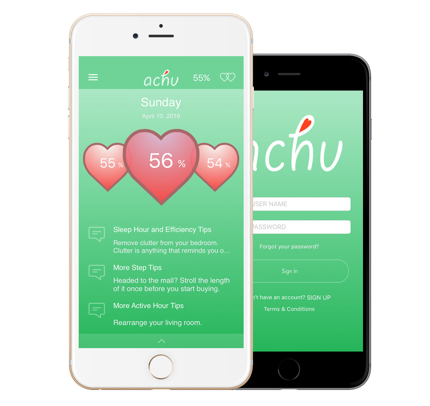 Achu App Fitbit Data