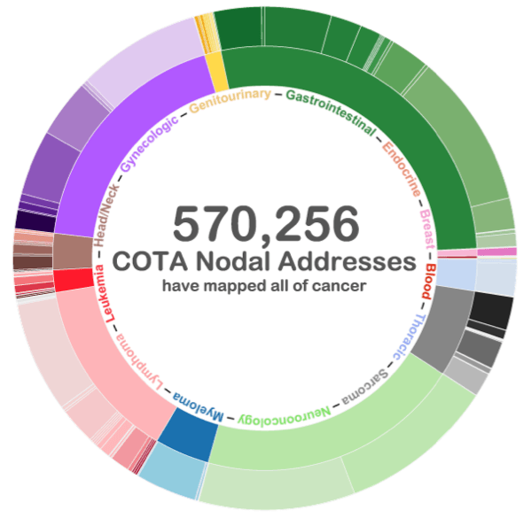 Cota, Hackensack Meridian Integrates "Digital Map of Cancer" Into Epic EHR