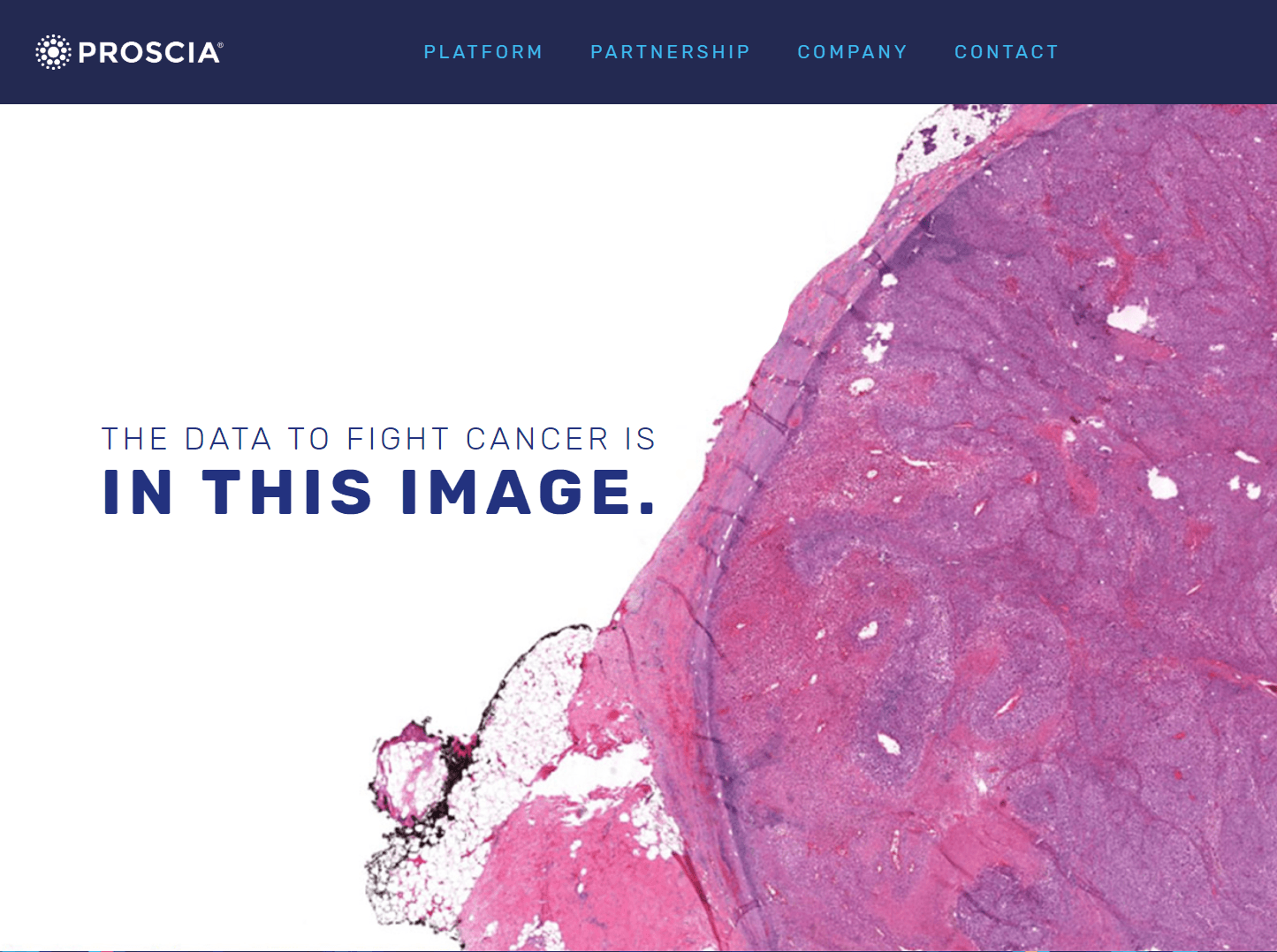 Proscia Raises $8M for AI-Enhanced Digital Pathology for Cancer Diagnosis