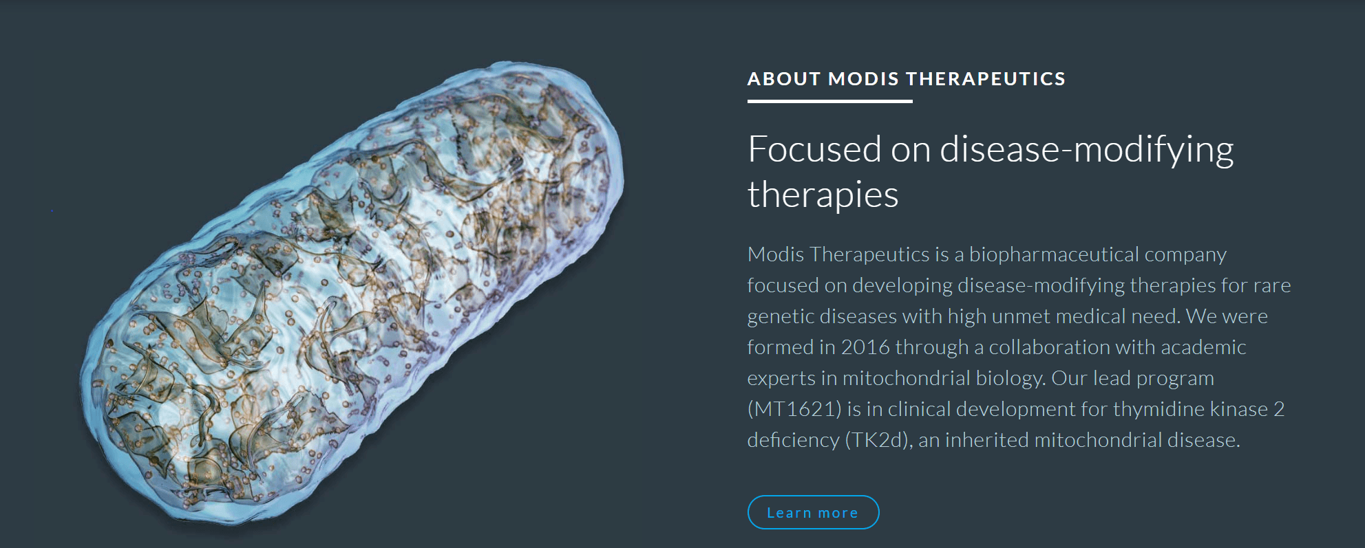 Modis Therapeutics Raises $30M for Developing Medicines for Patients with Rare Genetic Diseases