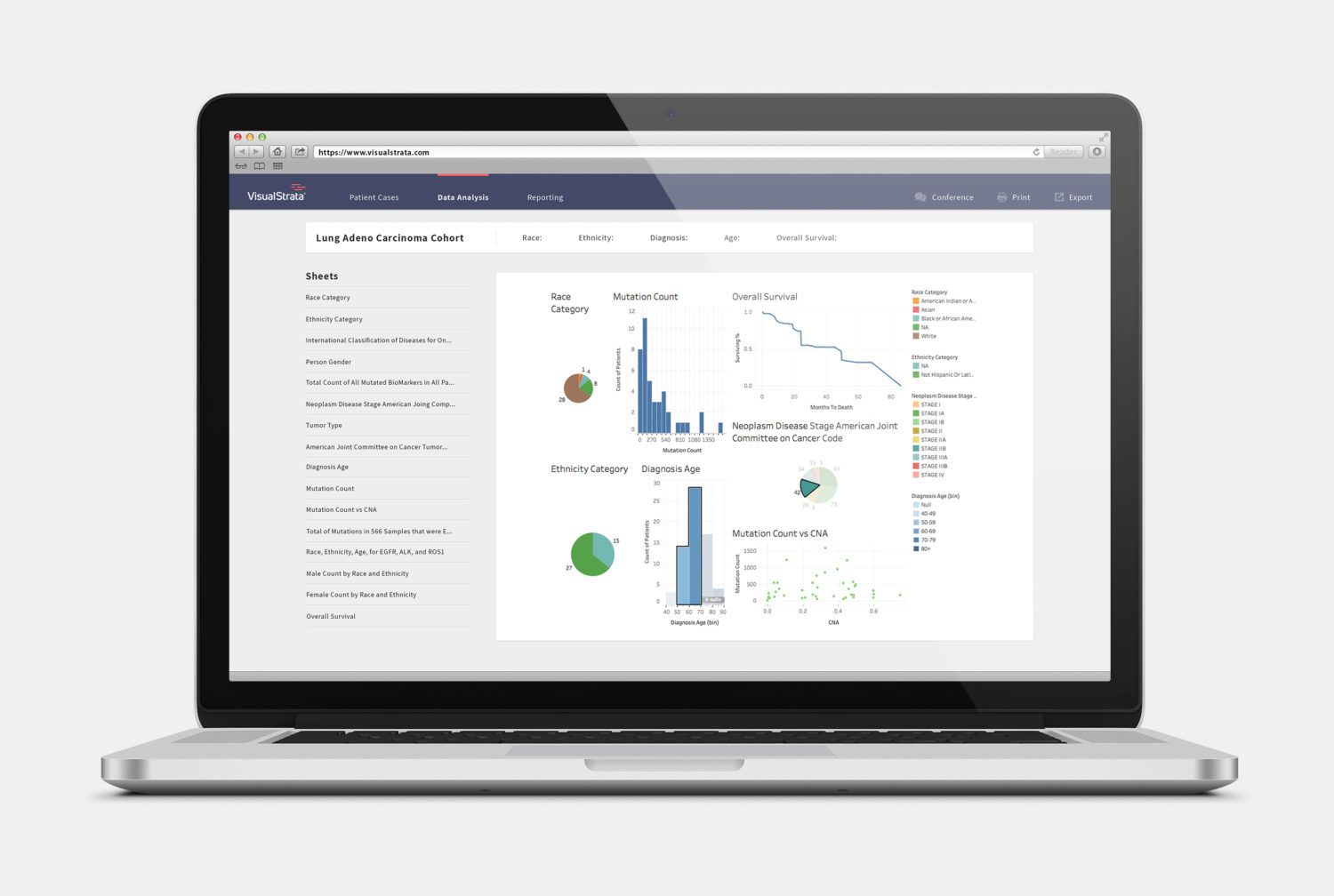 XIFIN Enters Precision Medicine Market With Launch of VisualStrata