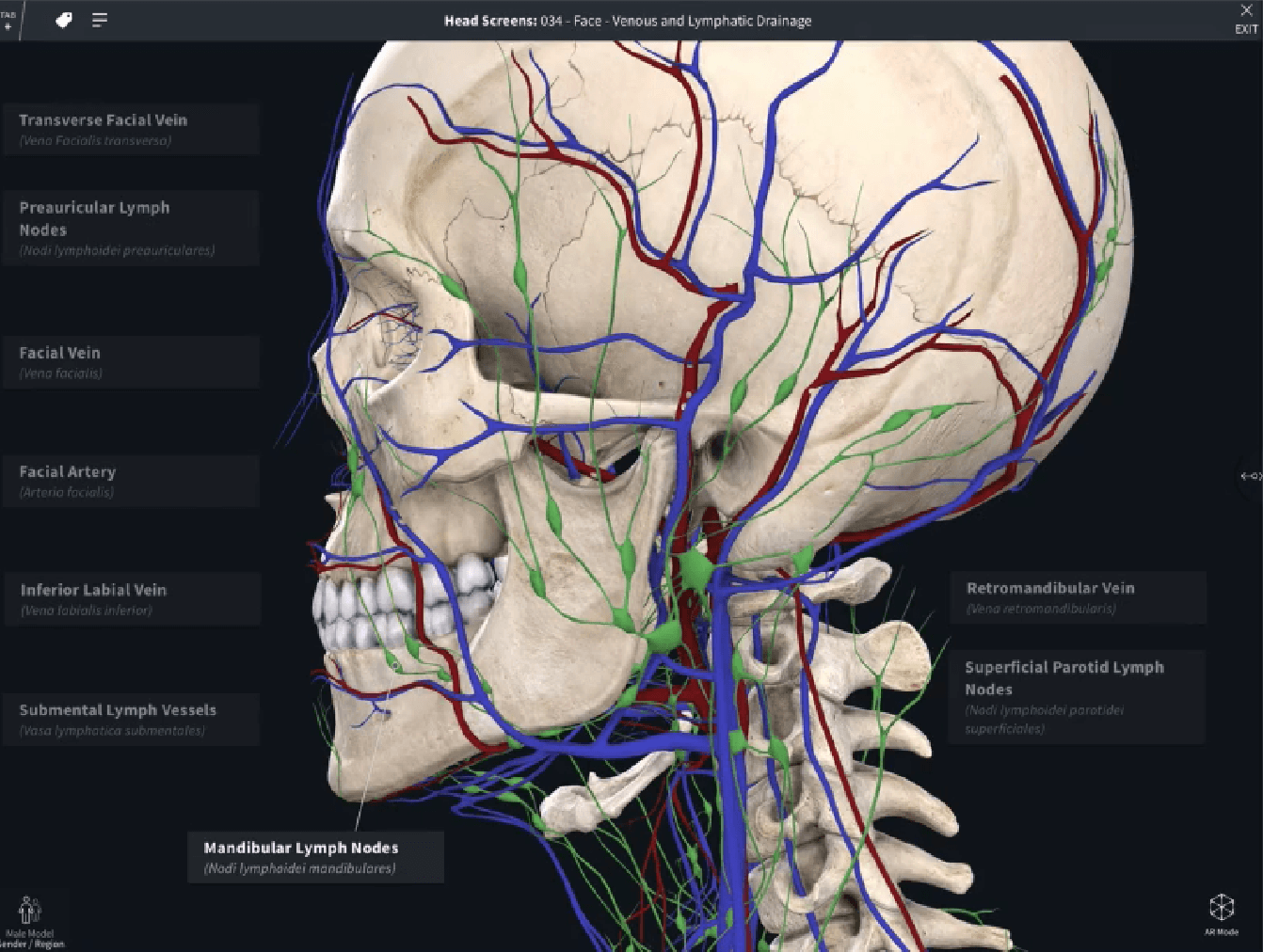 DrChrono Integrates 3D Anatomical Modeling in Mobile EHR for Physician Practices