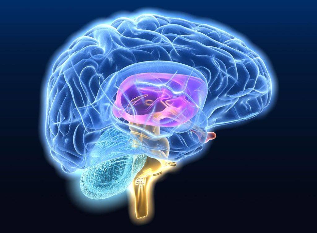 Mount Sinai Researchers Develop AI Platform to Detect Neurodegenerative Diseases