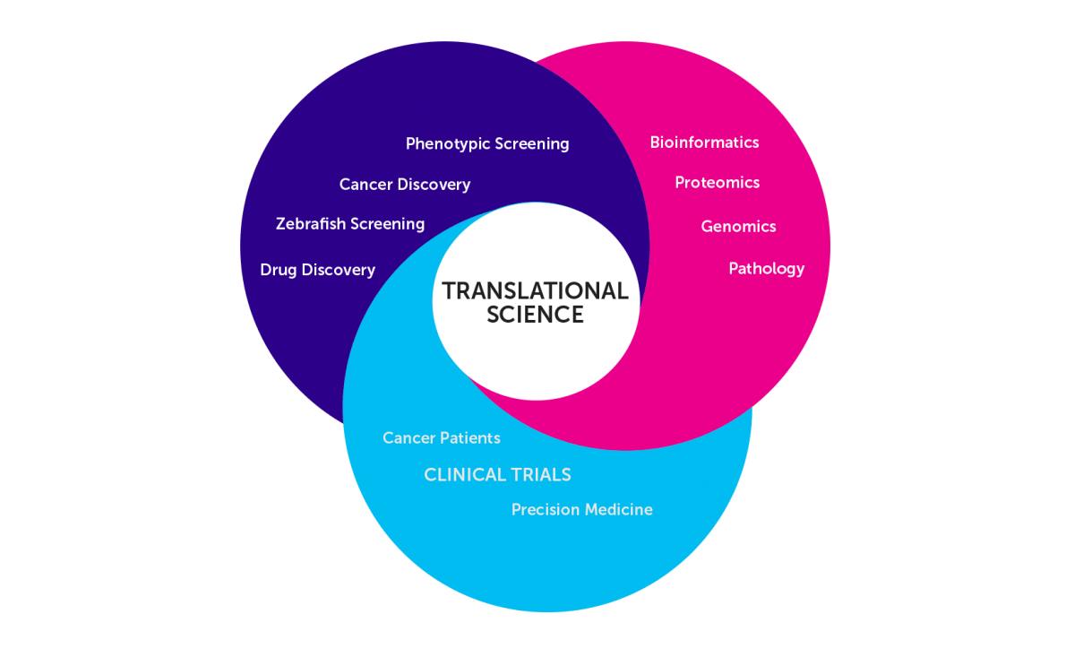 UMass Lowell Awarded $1M Grant to Develop Secure Cyberinfrastructure for Translational Research