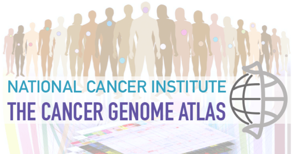 the cancer genome atlas        <h3 class=