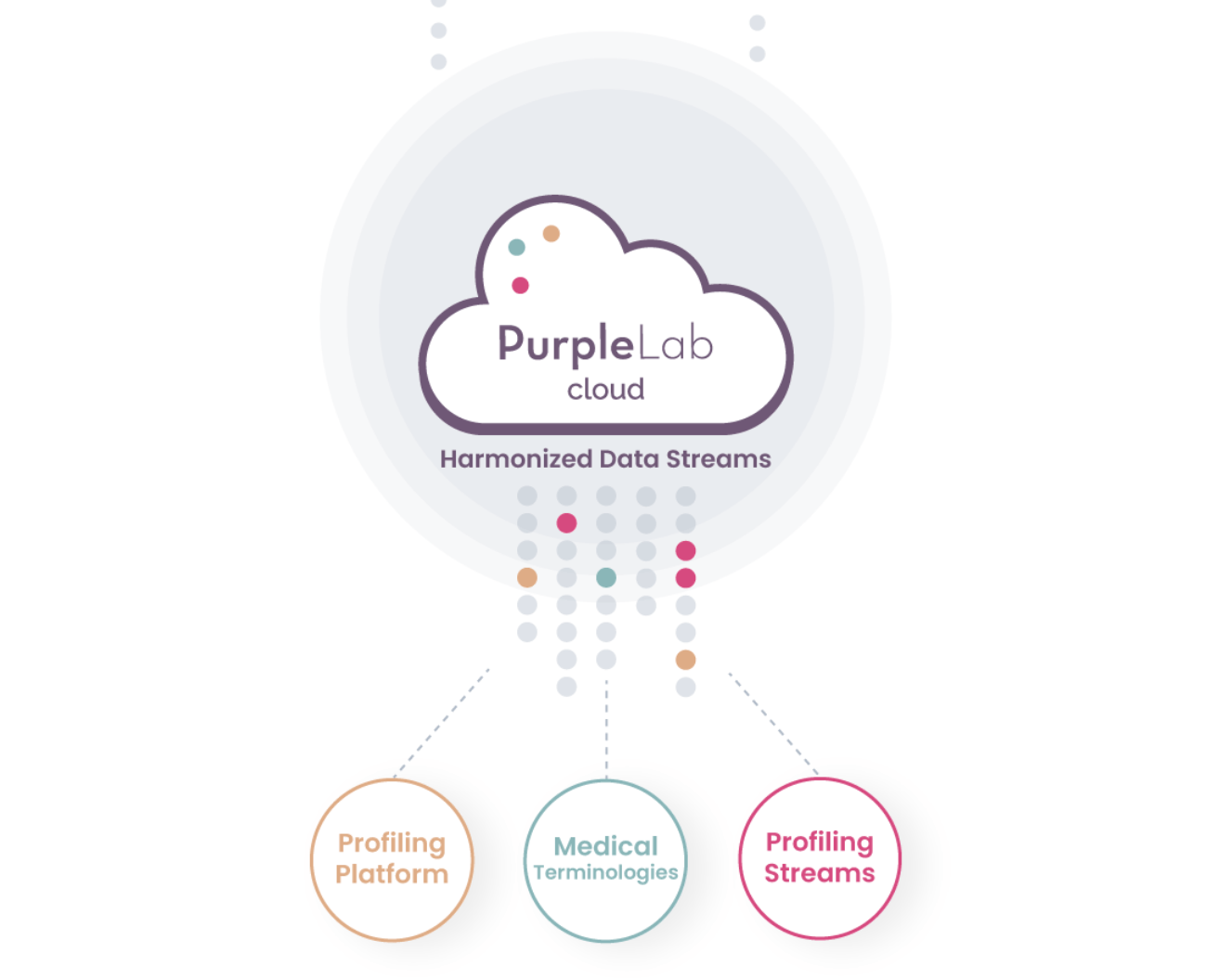 PurpleLab Lands $3M to Expand Healthcare Data and Analytics Platform