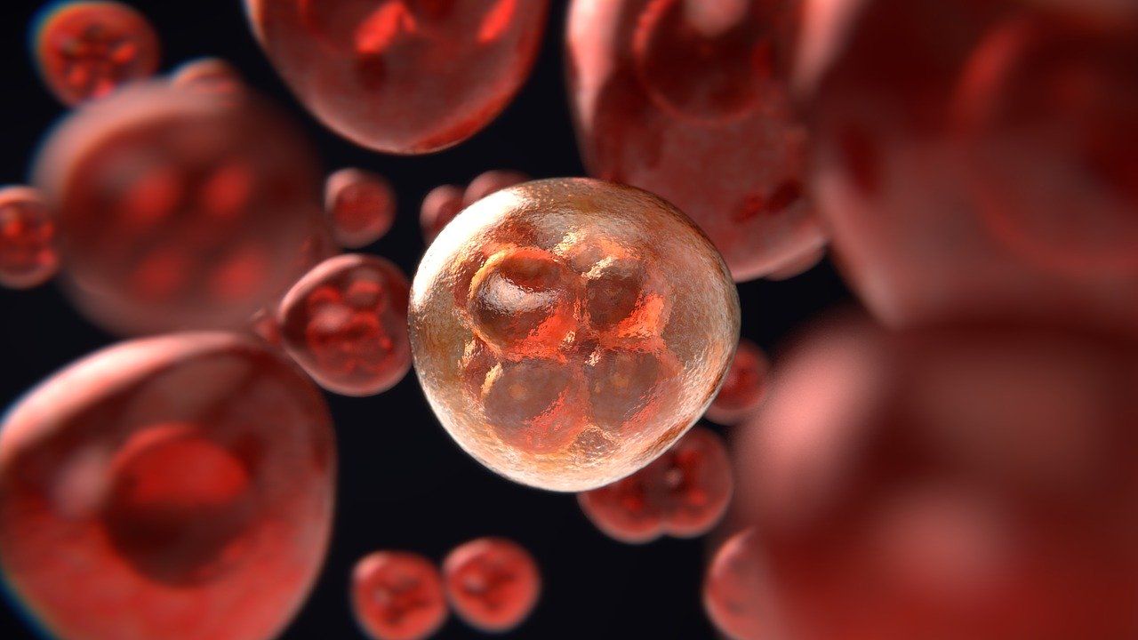 Notable Launches Observational Clinical Trial for Patients with Blood Cancer