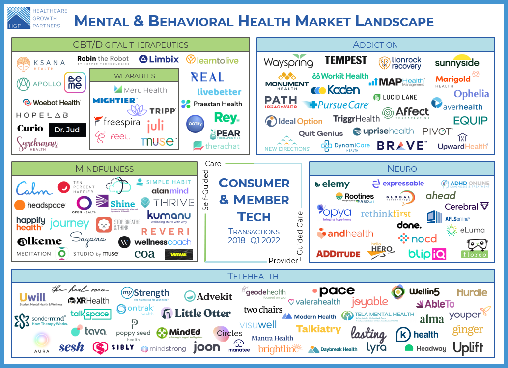 Seeking Balance in the Hyperactive Mental Health Tech Market 1