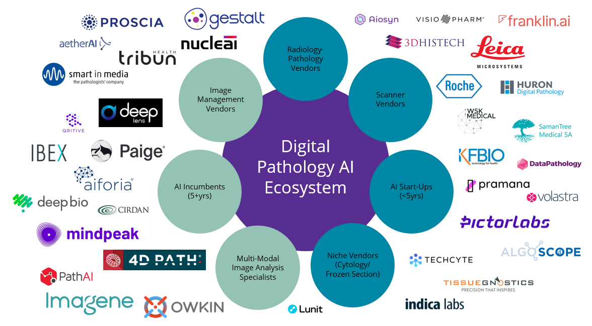 Why Digital Pathology’s Ecosystem Won’t Support AI Startups