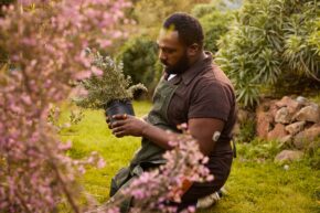 ŌURA Launches AI-Powered "Meals" & "Glucose" Tracking for Enhanced Metabolic Health