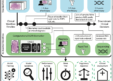 AI Breakthrough: New Model Predicts Cancer Mutations from Routine Pathology Slides, Streamlining Treatment Decisions