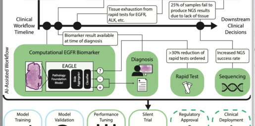 AI Breakthrough: New Model Predicts Cancer Mutations from Routine Pathology Slides, Streamlining Treatment Decisions