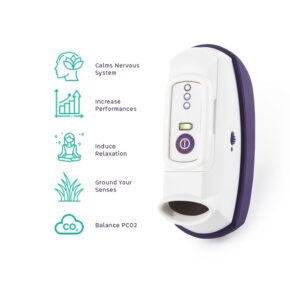 Lovell and CalmiGo Partner to Provide Anxiety and PTSD Relief for Veterans