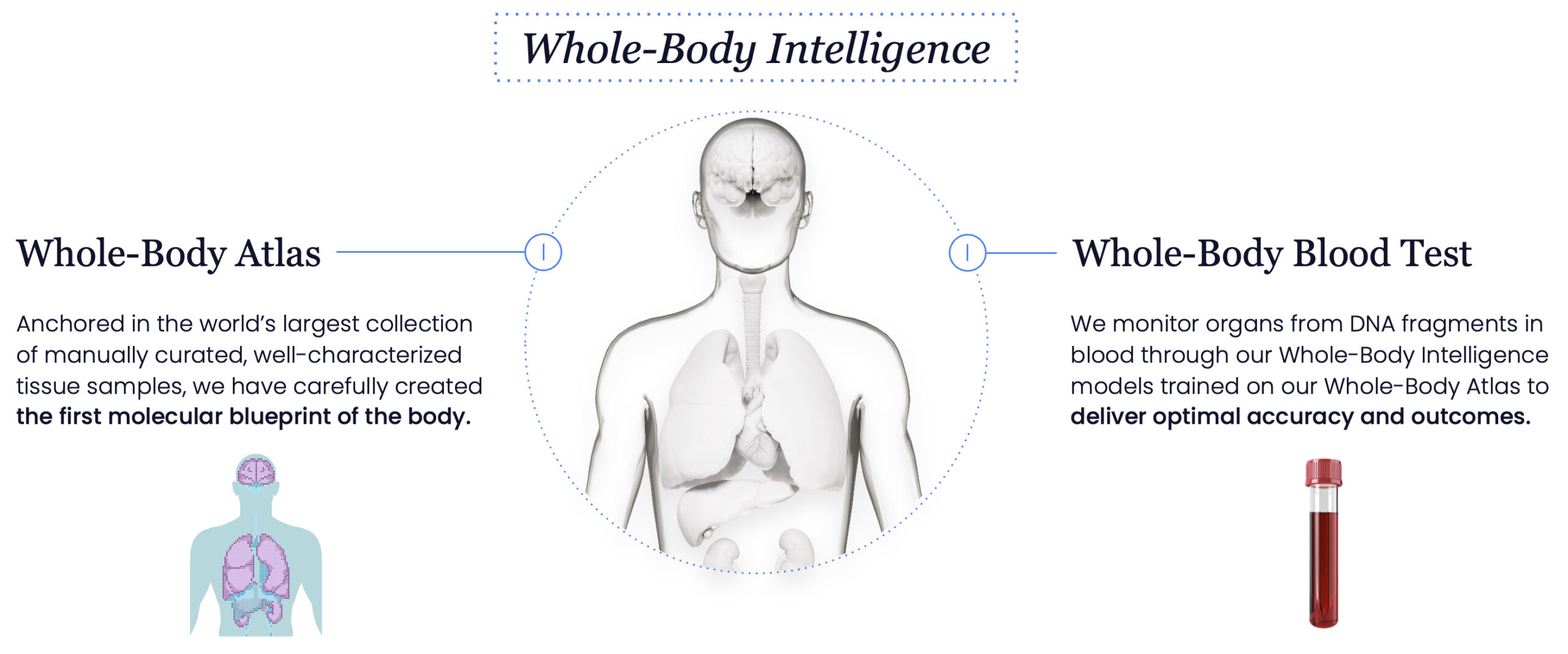 Curve Biosciences Secures $40M to Launch Whole-Body Intelligence Platform