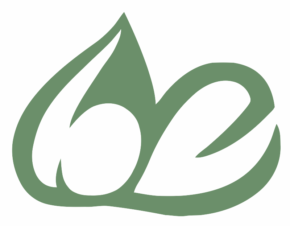 Harmony Healthcare IT Acquires Blue Elm to Build MEDITECH Data Engine