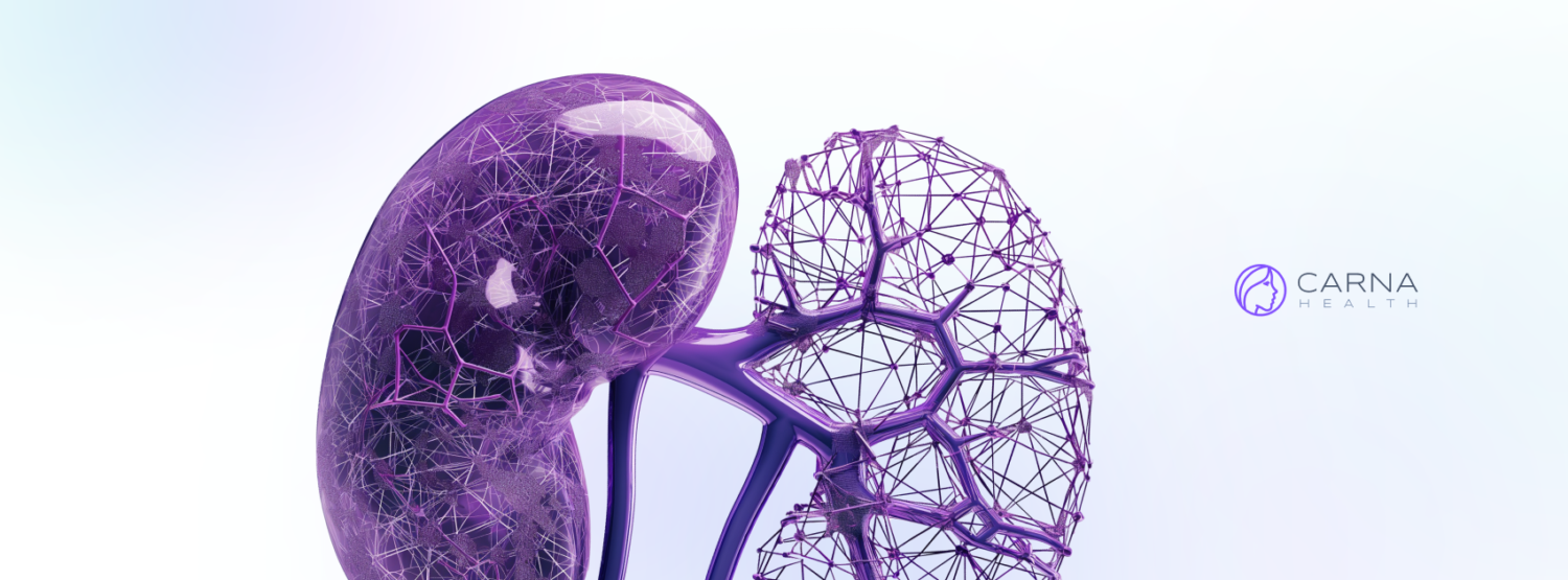 Carna Health Raises $8M to Scale Global AI-Driven Kidney Screening