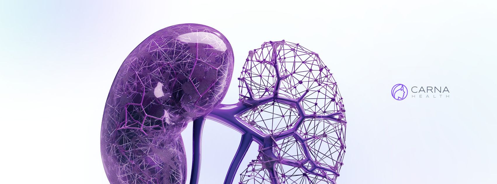 Carna Health Raises $8M to Scale Global AI-Driven Kidney Screening