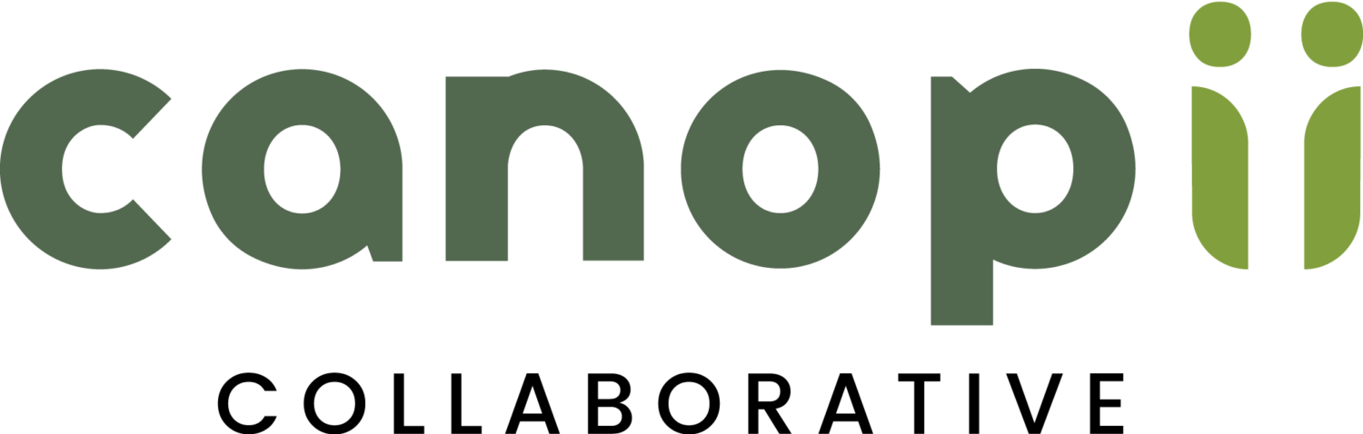Impact Advisors Acquires Canopii Collaborative to Expand Epic Payer and Tapestry Expertise