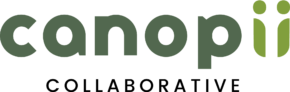 Impact Advisors Acquires Canopii Collaborative to Expand Epic Payer and Tapestry Expertise
