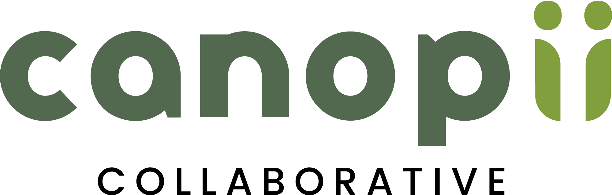 Impact Advisors Acquires Canopii Collaborative to Expand Epic Payer and Tapestry Expertise